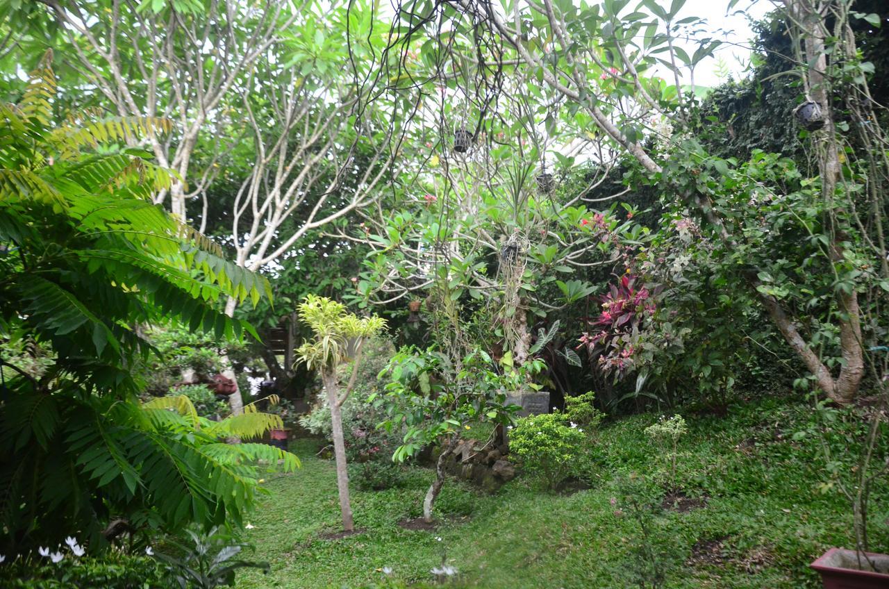 Banyu Homestay Banyuwangi  Exterior photo