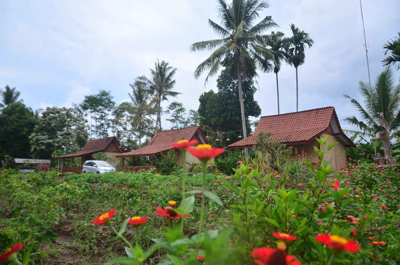Banyu Homestay Banyuwangi  Exterior photo