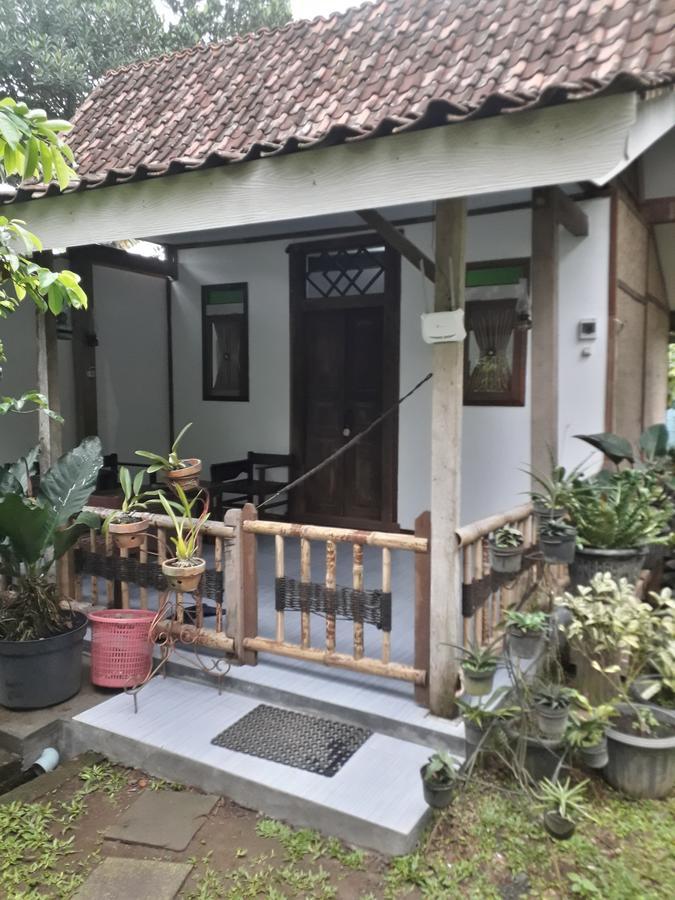 Banyu Homestay Banyuwangi  Exterior photo